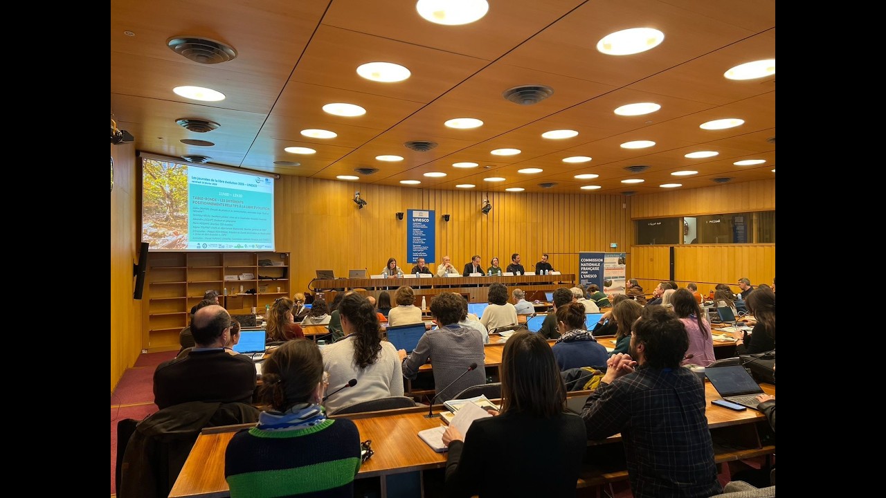 TABLE RONDE   EXEMPLES INTERNATIONAUX