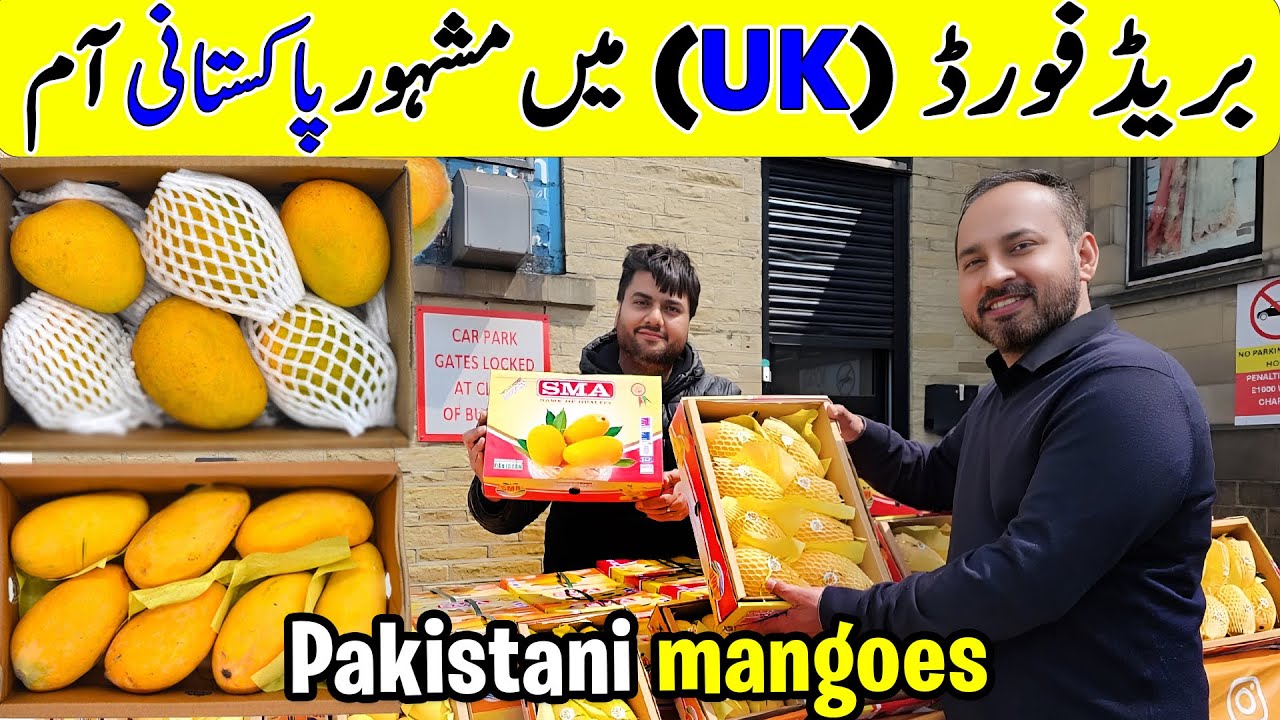 World Famous Pakistani Mangoes in UK | Best Mangoes in Bradford |Pakistani Mangoes 2025