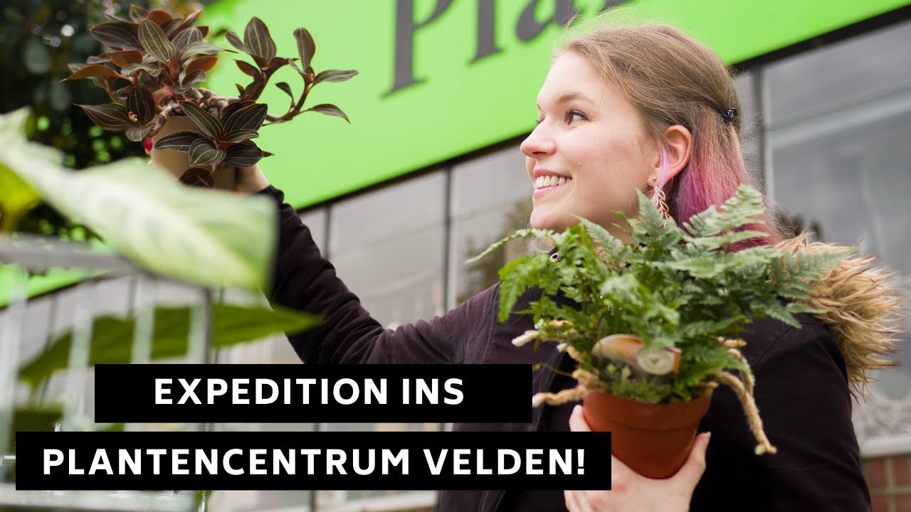 Expedition ins Plantencentrum Velden - Ich nehme euch mit!
