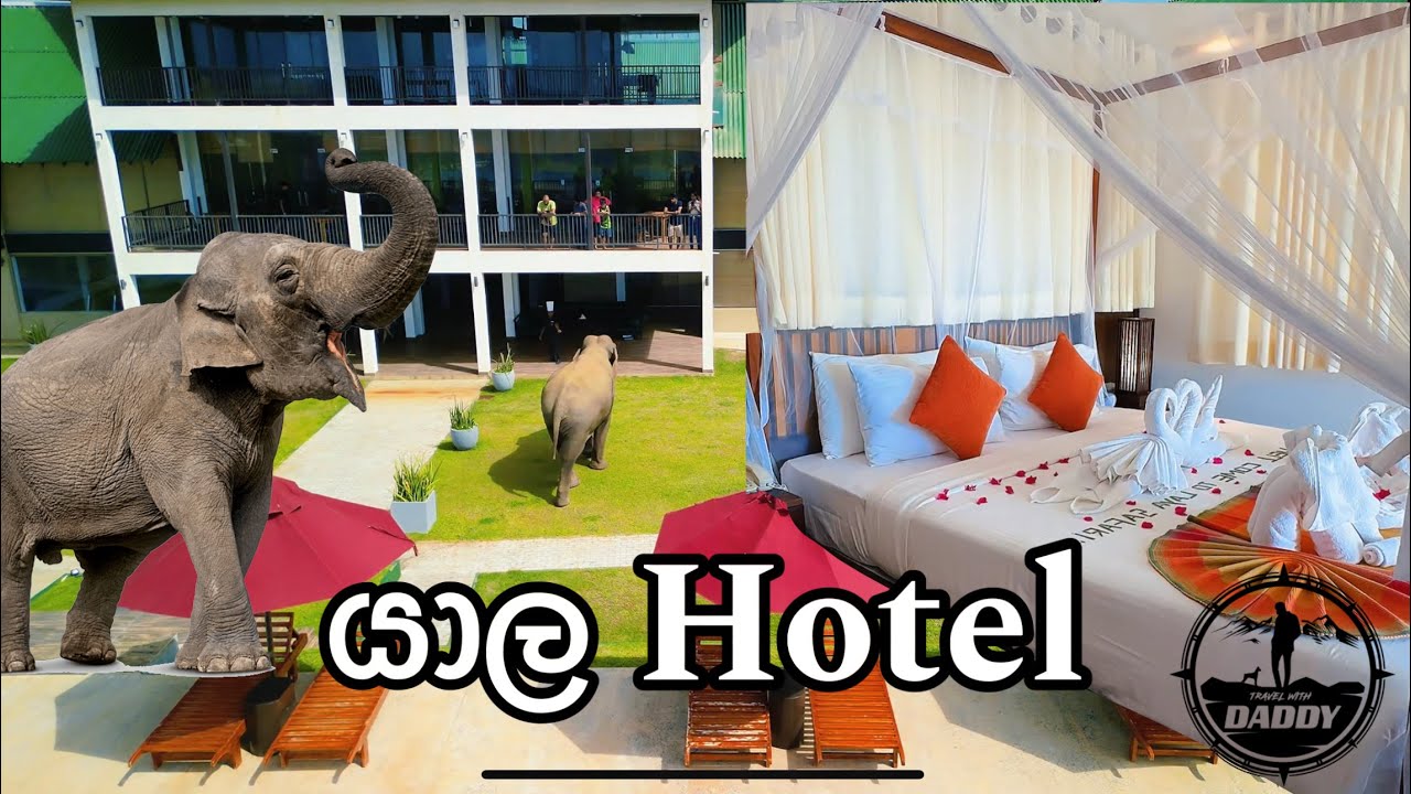 යාල තියන සුපිරිම Hotel එකක් 😎🔥 | Laya Safari Yala | Yala Hotel Review