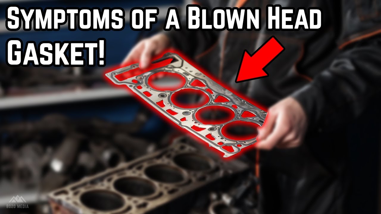 Signs & Symptoms of a Blown Head Gasket!