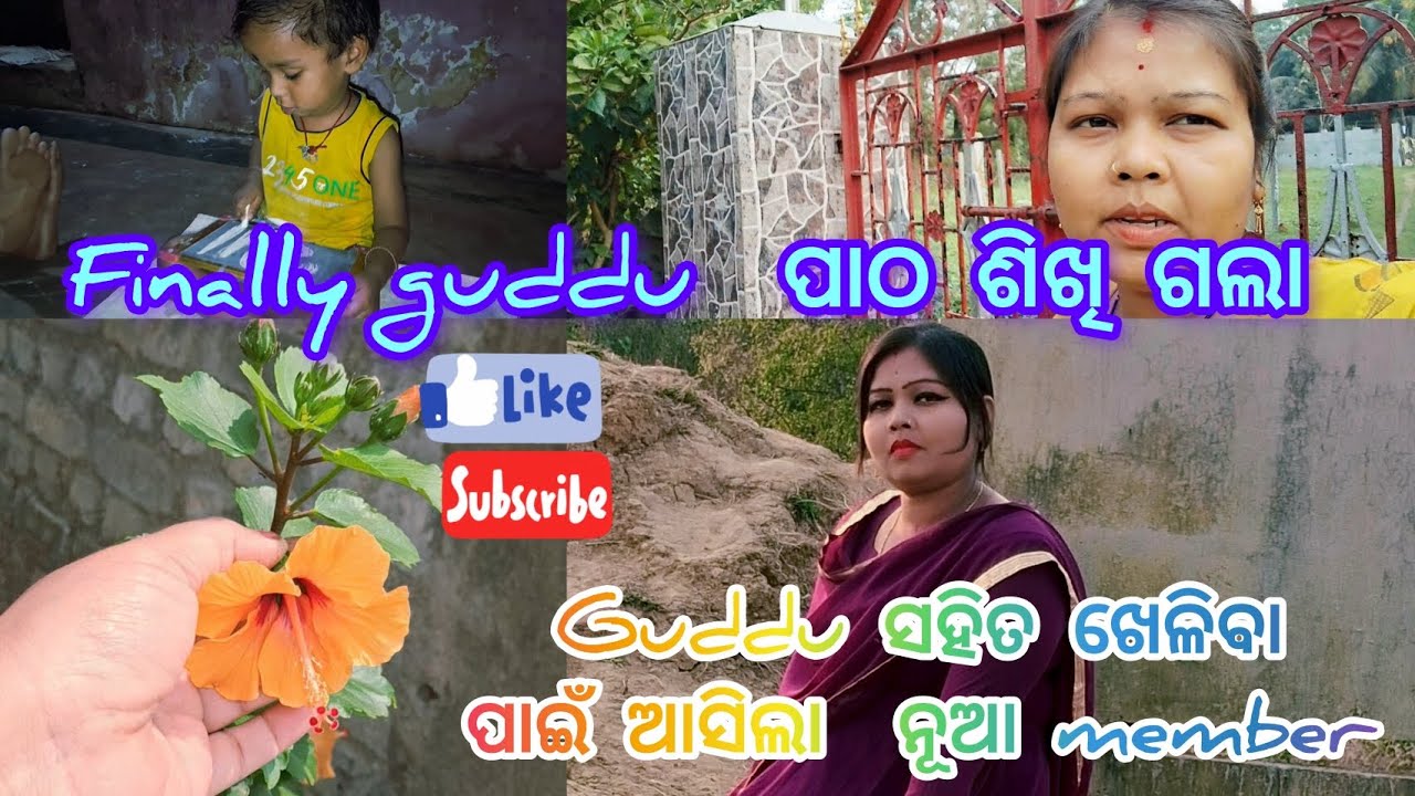 Finally guddu ପାଠ ଶିଖି ଗଲା...##familyvlog #minivlogs #odialifestylevlog #rabindrasumivlog ......
