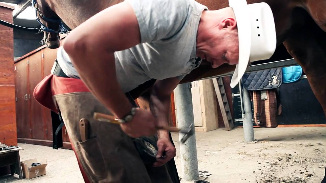 Werkman Hoofcare - Robbie James - Basic Horse Shoeing - Part 1 - New Zealand