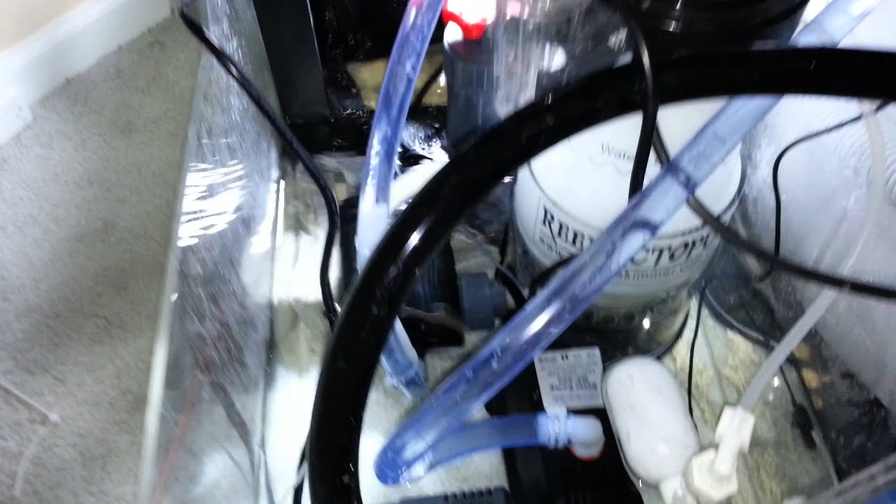 Next reef smr1 with npx bio pellets install