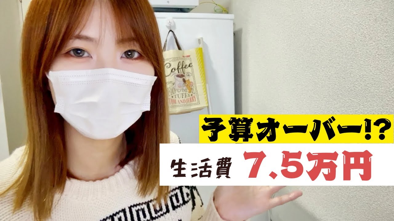 生活保護の家計簿  | 3月の予算7.5万円の内訳