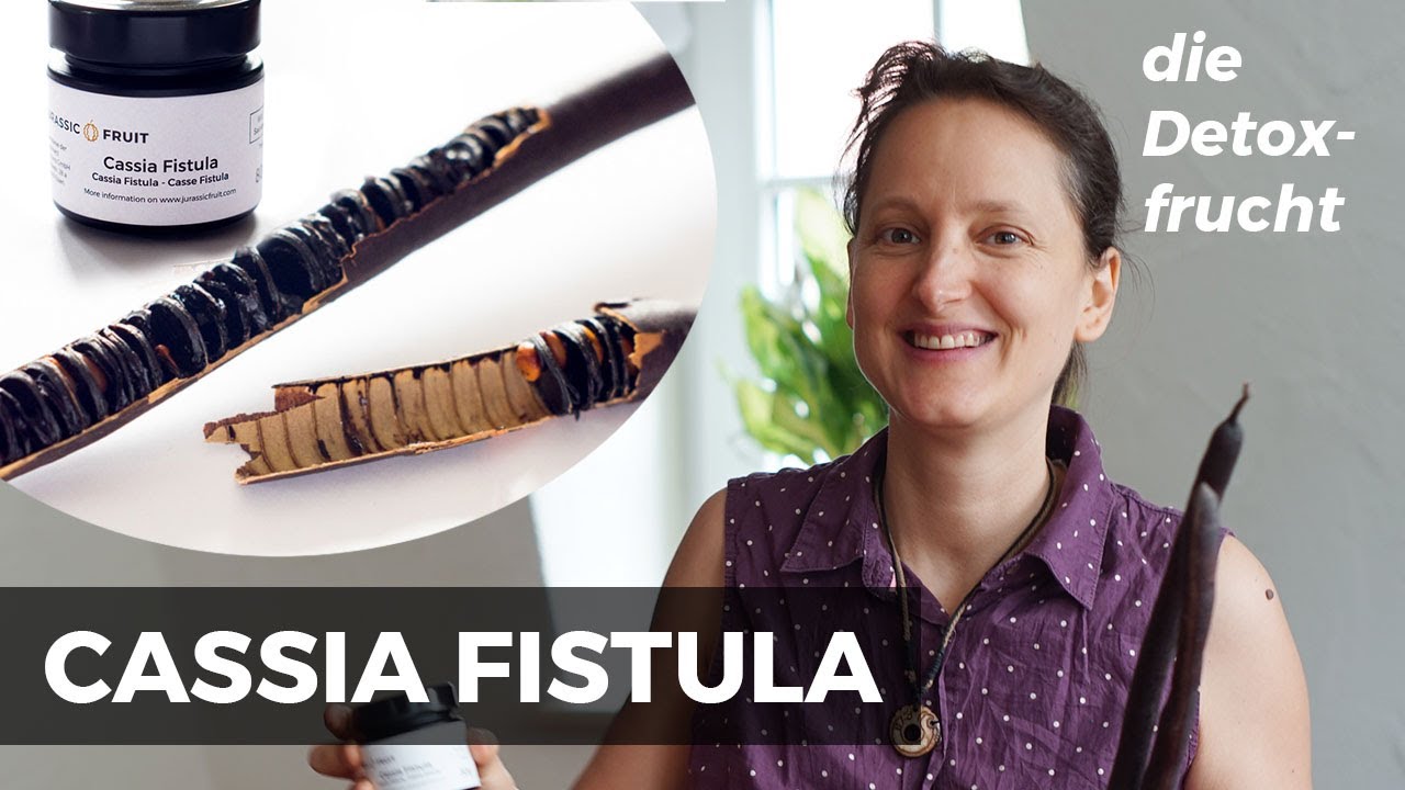 CASSIA FISTULA, Detox-Frucht, Krankheitskiller, natürliches Abführmittel