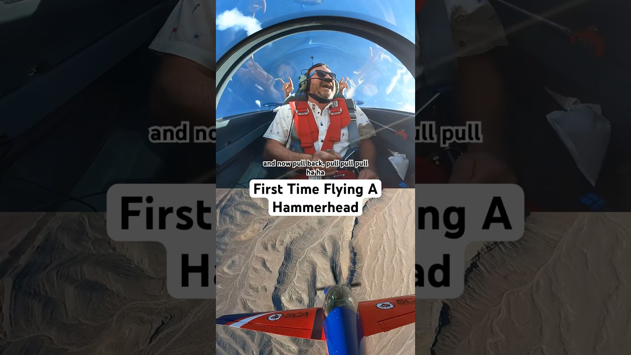 POV you pull a Hammerhead | #Shorts #Aviation #Extreme #Stunt #BucketList