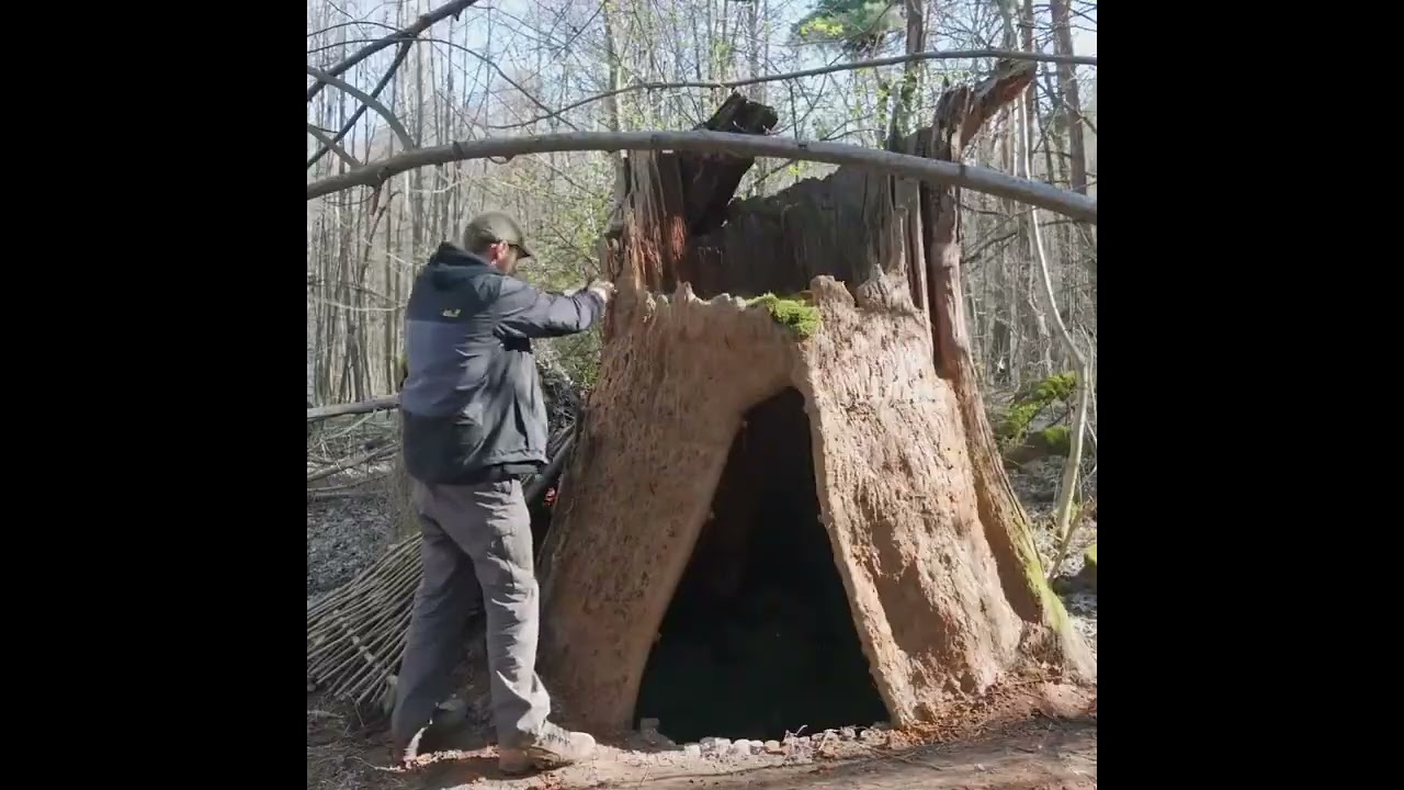 Set up temporary shelters in the wild#wildlifedocumentary#shortagewild construction#wildlife
