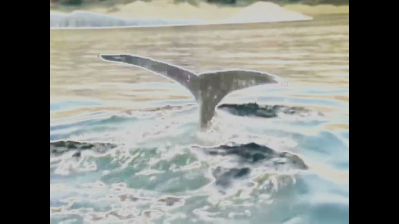 Baby Neptune Discovering Water Effects (Inspired By Preview 2 Mokou Deepfake Effects) (EXTENDED)