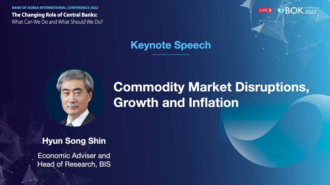 Commodity market disruptions, growth and inflation