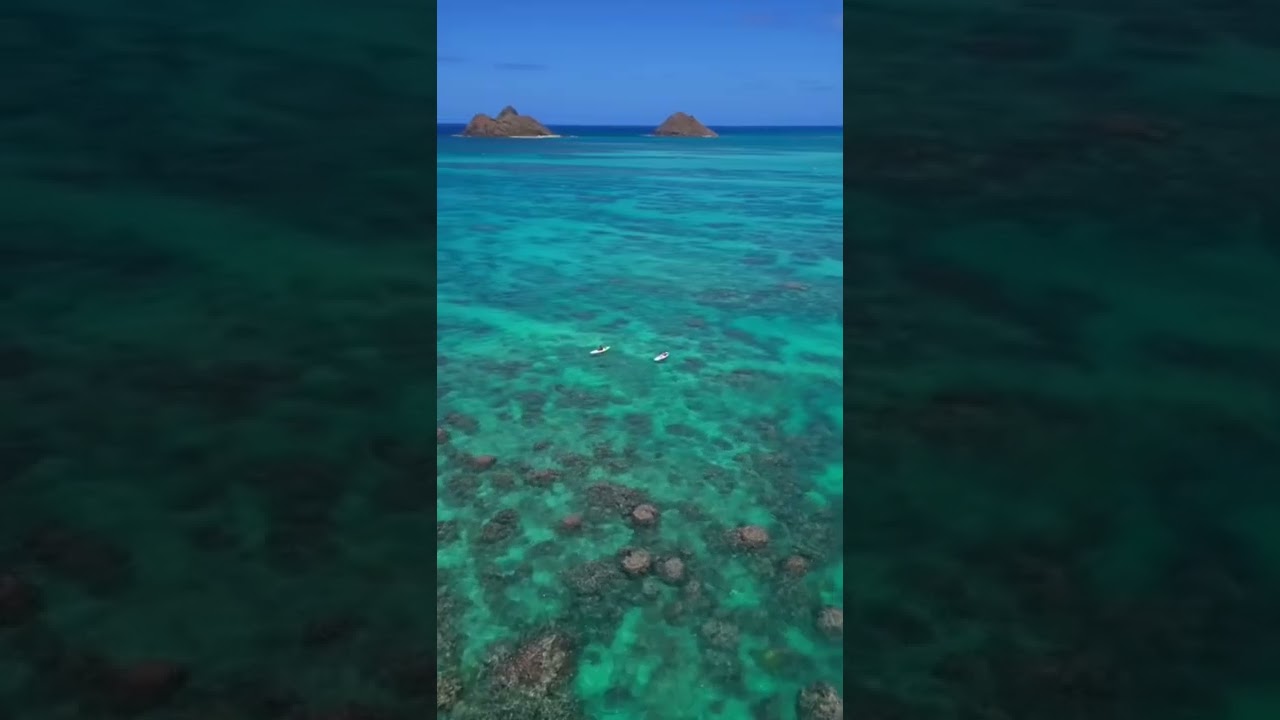 Best drone moves for cinematic videos! DJI mini 3