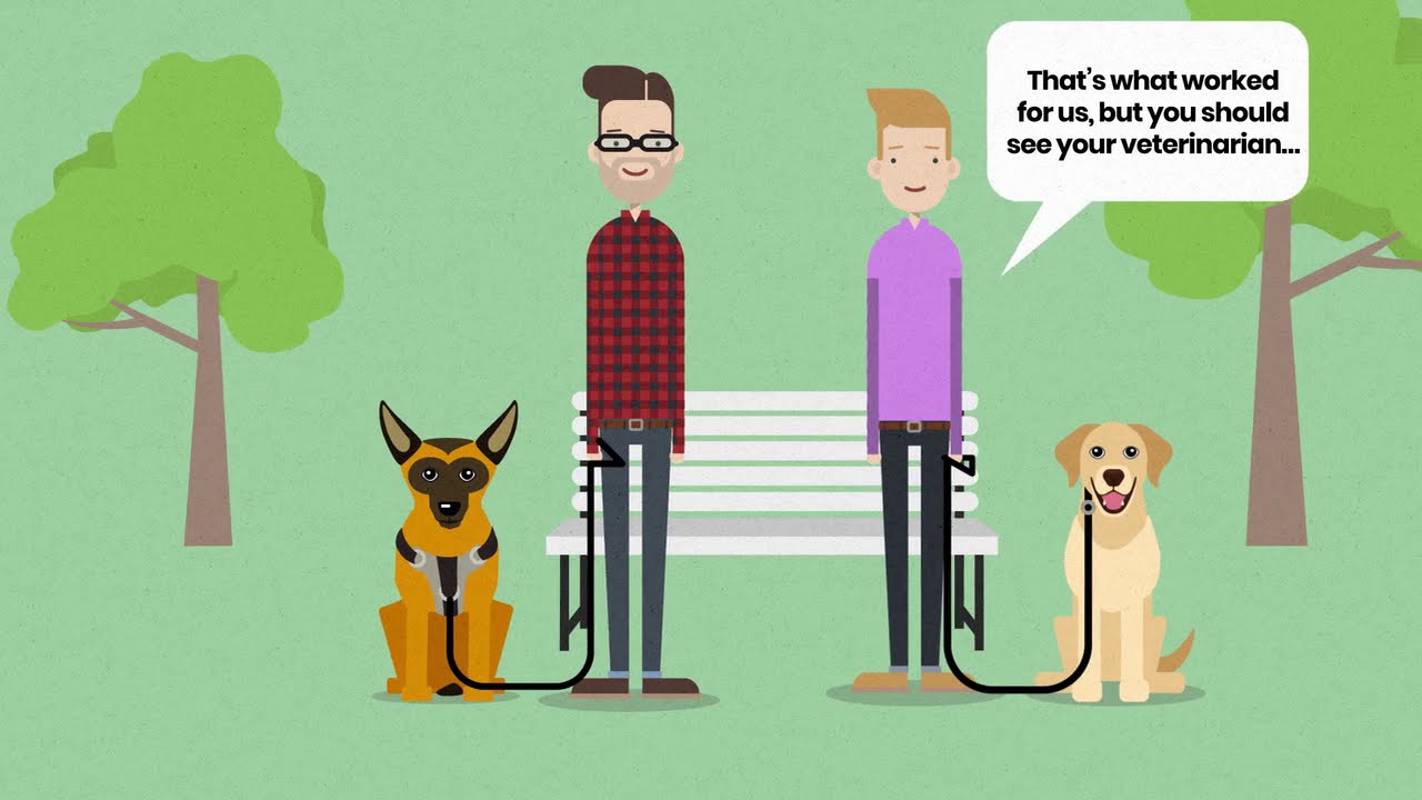 Canine Separation Anxiety Solutions Part 2