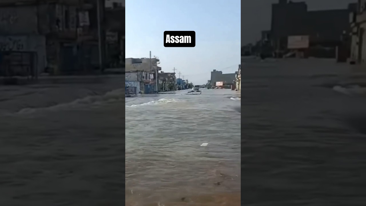 Assam Flood Viral Video 🥺 #highlights #assam #explore  #shorts