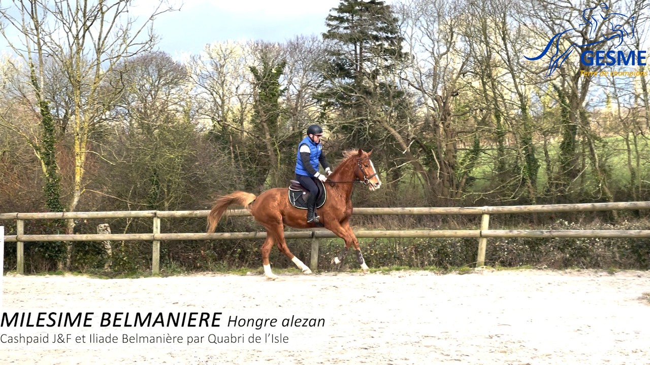TRAINING POST VENTE - MILESIME BELMANIERE