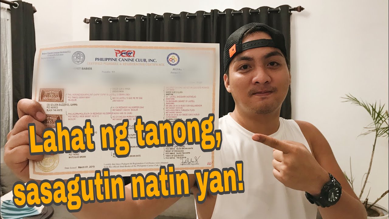 PCCI REGISTRATION | MEMBERSHIP | KENNEL | WALANG PAPEL | LATE REGISTRATION | LITTER REGISTRATION