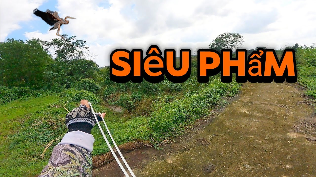 Đi Săn Bằng Ná Cao Su - Lụm Cò Bay Cùng Quyết Nguyễn - Slingshot Hunting Tập 302