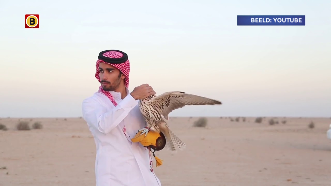 Roofvogels uit Langenboom geliefd bij Arabieren