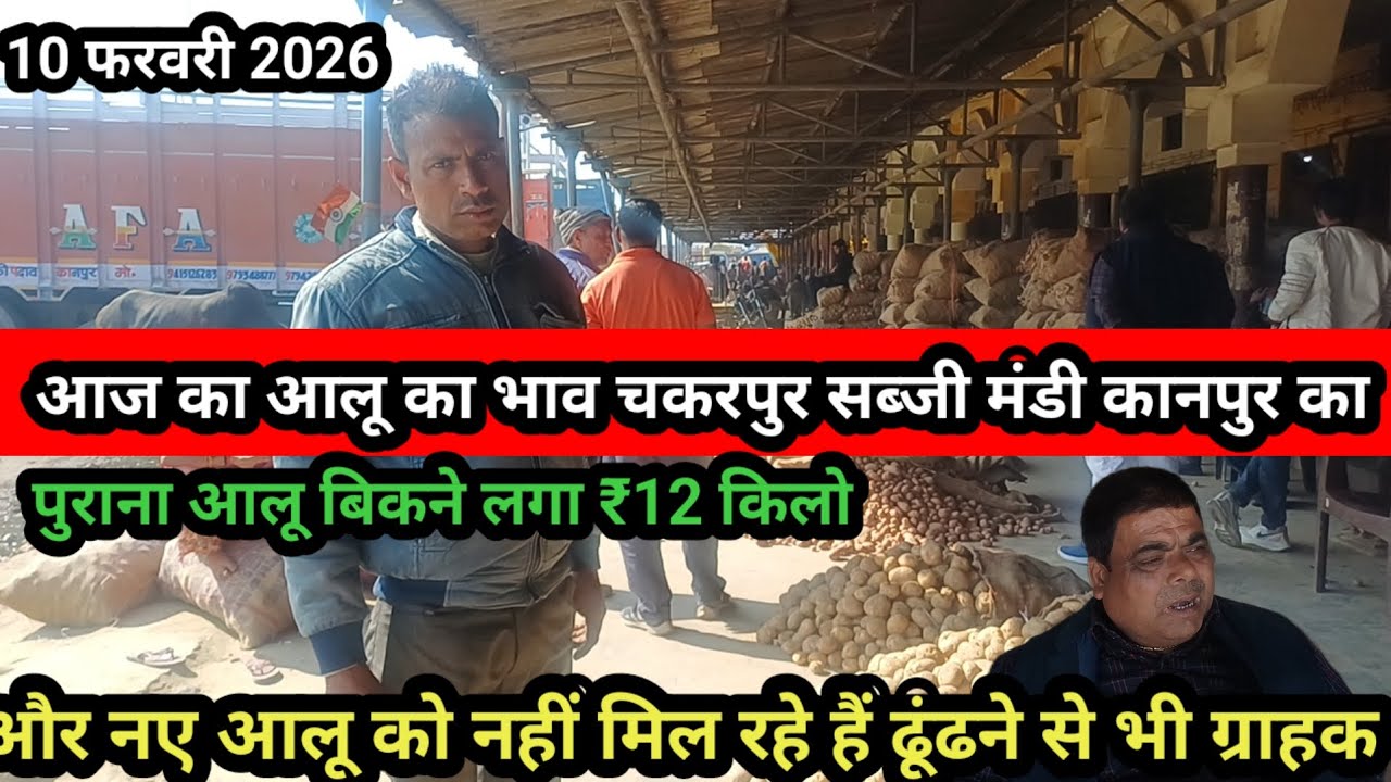 आज का आलू का भाव चकरपुर मंडी कानपुर का 10 फरवरी 2026 