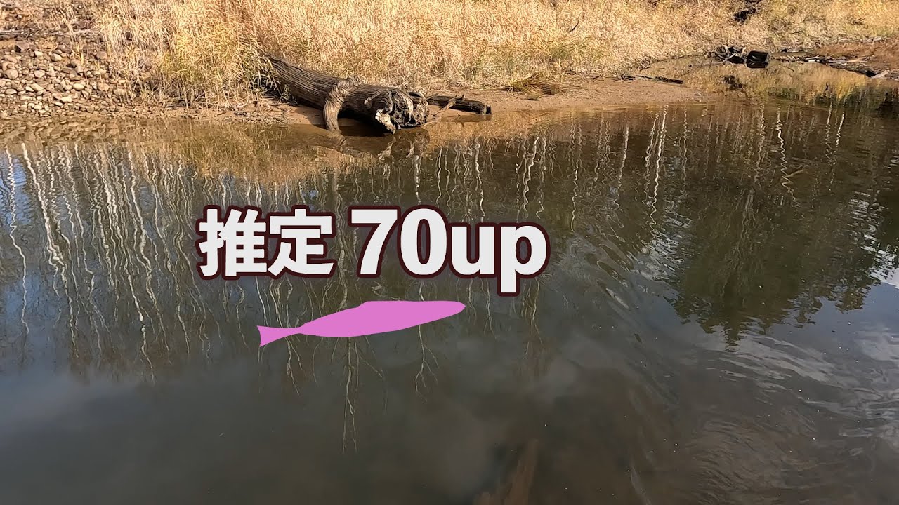 見えてる推定70アップにルアーを投げると･･･