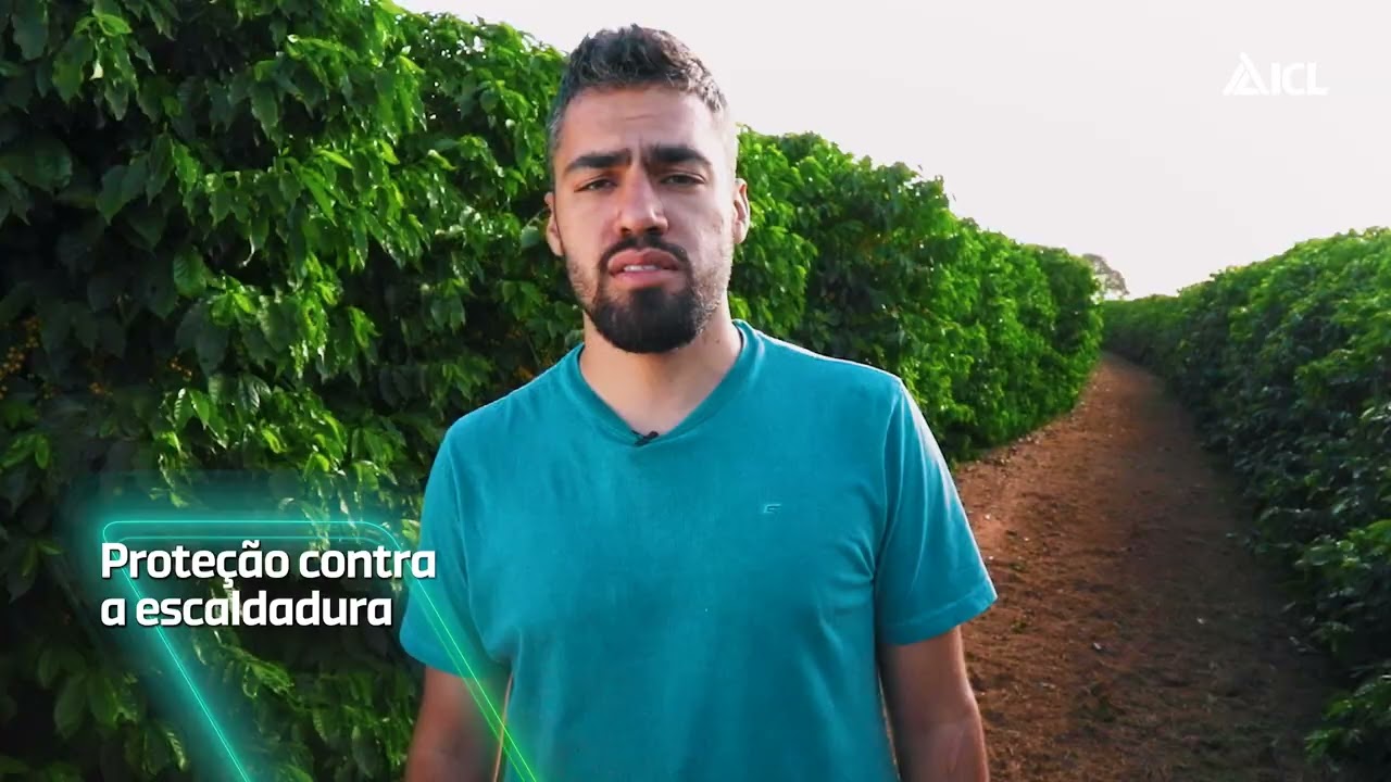 Momento Keep Green 16 | Igor Casagrande Petrim