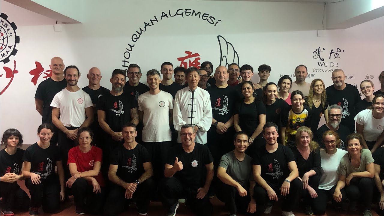 Tang Tung Wing Seminars in Spain 1/2