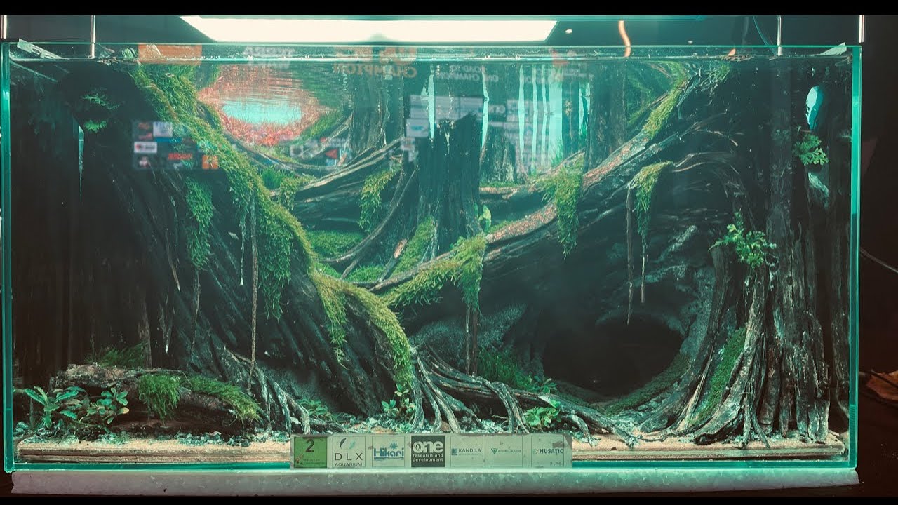 🔴 [LIVE] Penjurian ONE Champion Aquascape Contest