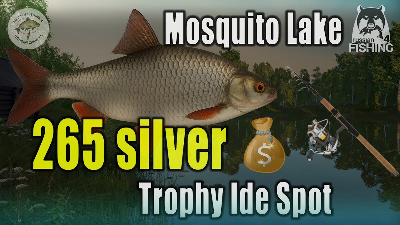📌 Trophy IDE on Mosquito Lake! 🎣 Perfect Feeder Setup, Bait & Weather – Russian Fishing 4