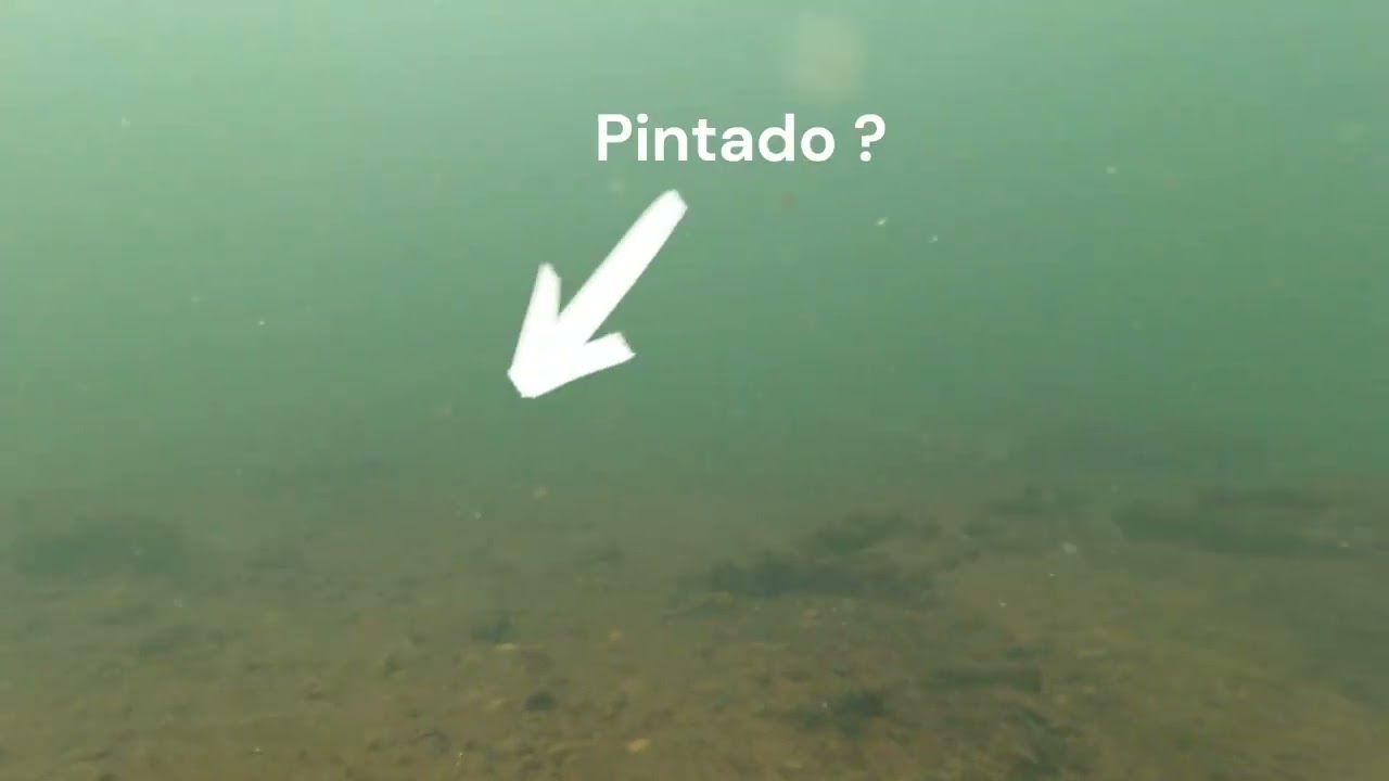 Rio Paraná - GoPro mergulho = 9 metros