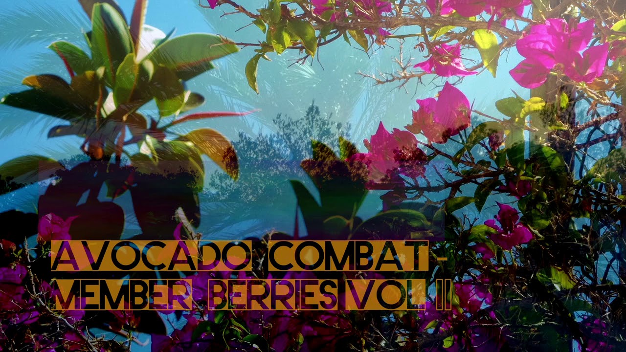 Avocado Combat   Member Berries Vol II [Chill Mix]