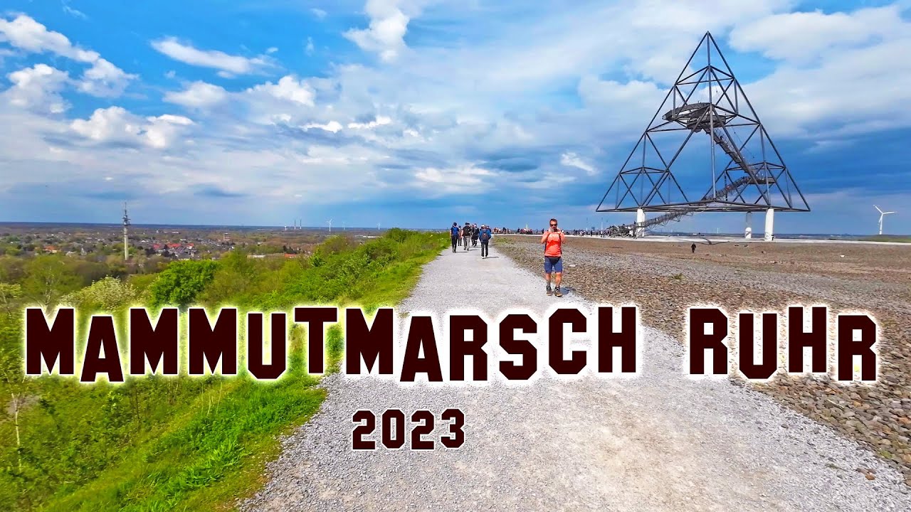 Mammutmarsch Ruhrgebiet 2023 / 55km innerhalb 12 Stunden / Little Mammut Ruhr