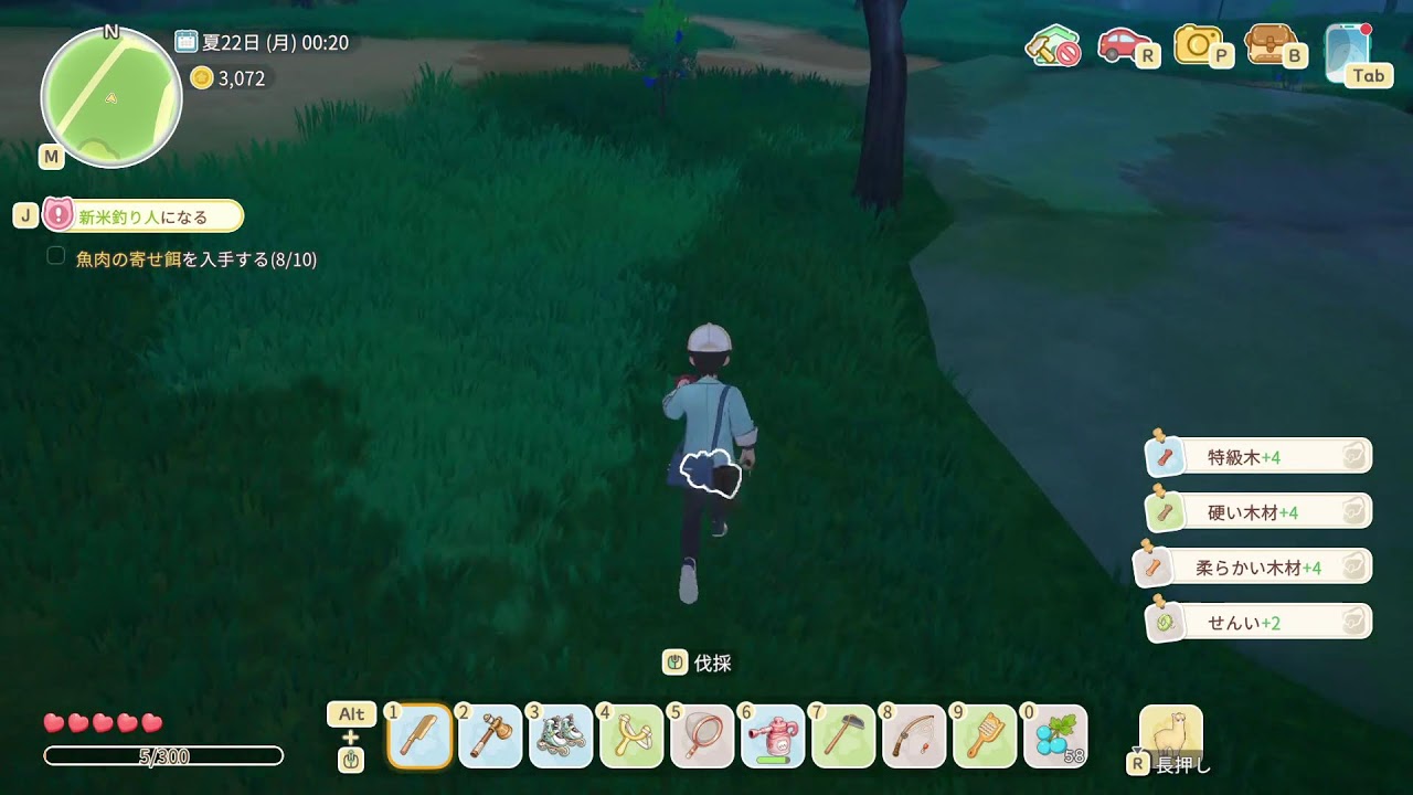 The Chill Starsand Island Journey