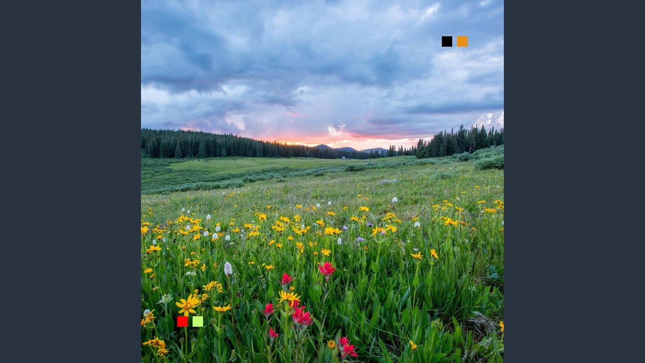 camping nature music