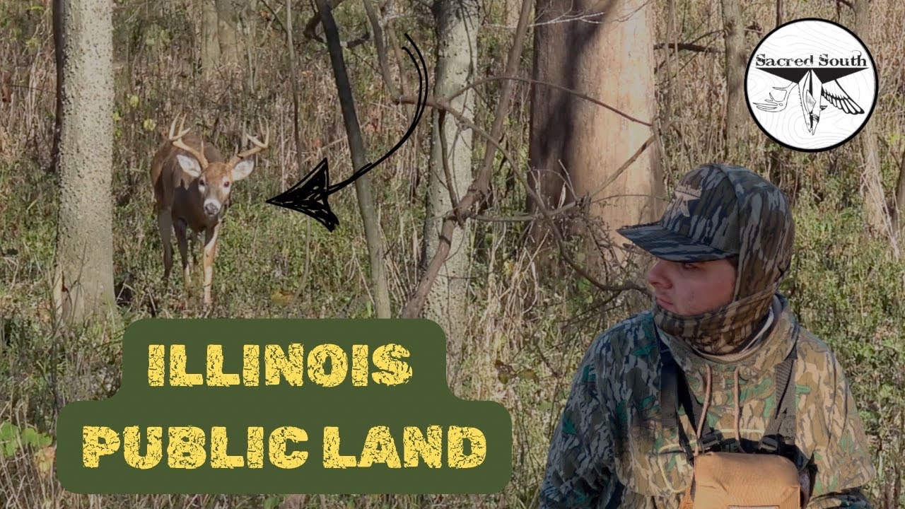 ILLINOIS Public land | BIG bucks | Bow Hunting | Poison IVY breakout | Would you shoot him?????