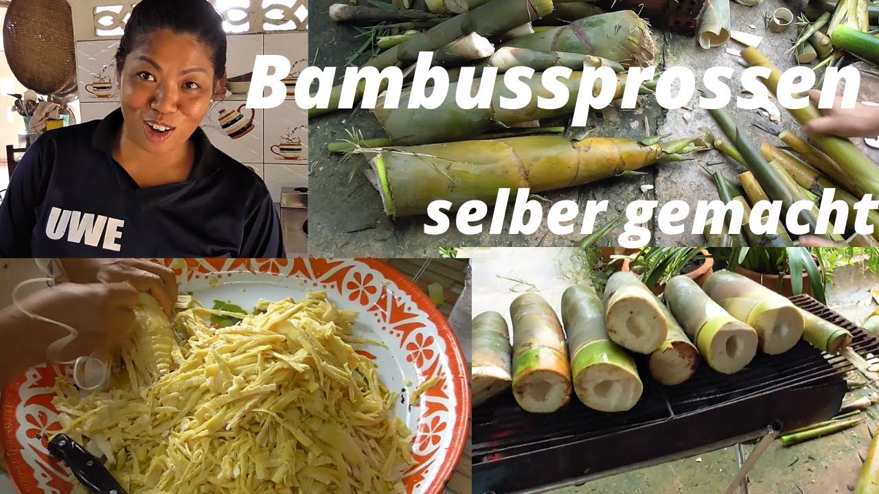 Thailand Ausgewandert. 😨Bambussprossen selber machen . Ein Tag Arbeit für 100 Baht 2,50 Euro😨