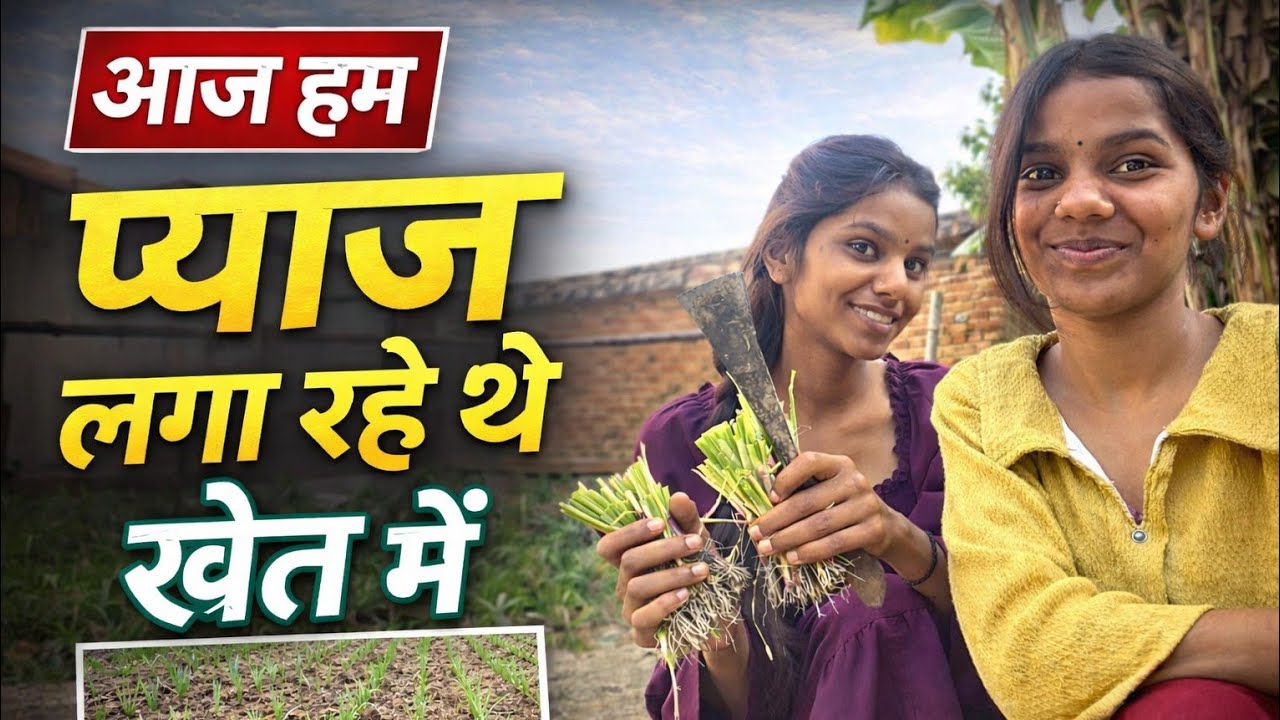आज का काम – खेत में प्याज लगाना 🌱 | Village Life | TWINSISTERS8874 Vlog