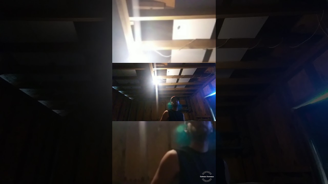 Shamans Harvest - Dragonfly cover