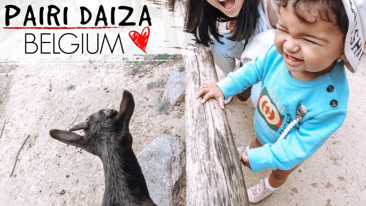 WE WILL NEVER FORGET THIS DAY! | Pairi Daiza Belgium