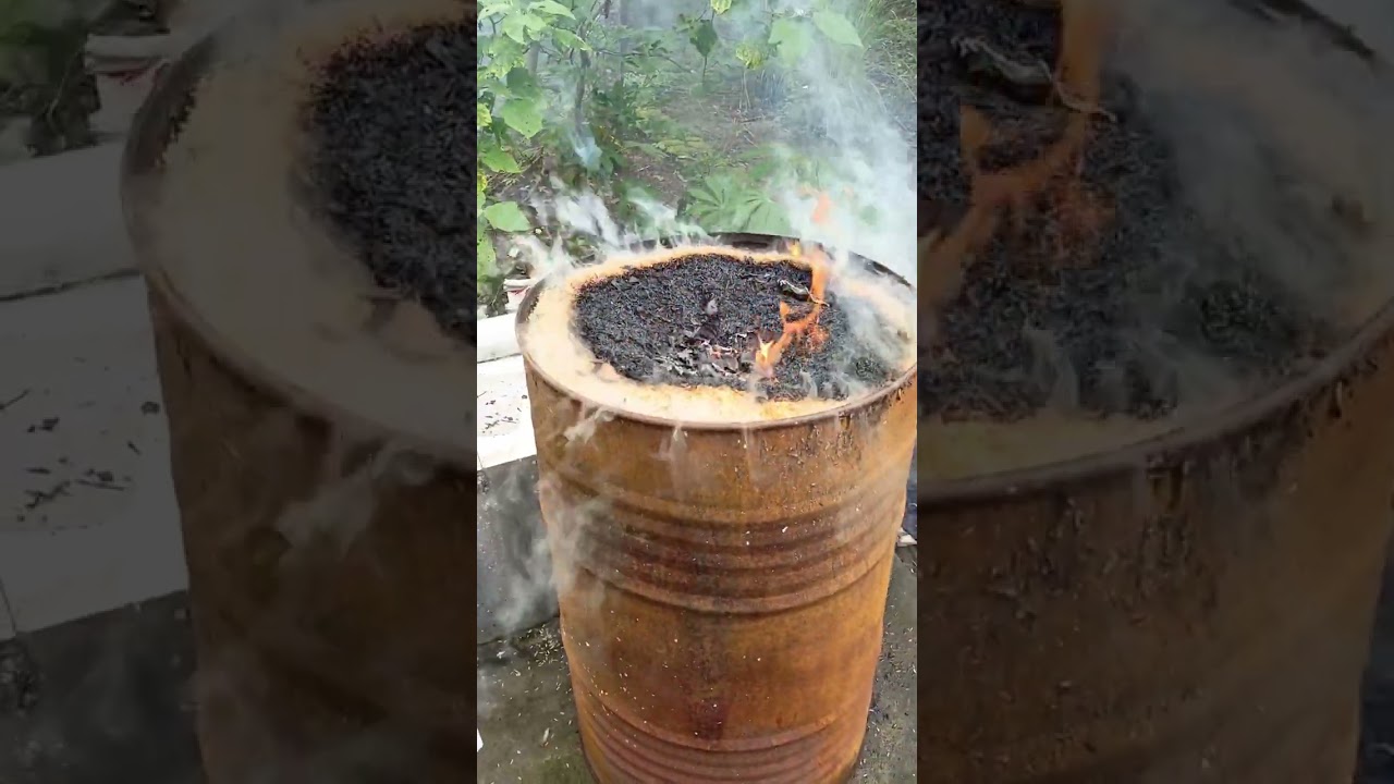 Pembuatan arang sekam dalam drum dan pakai blower