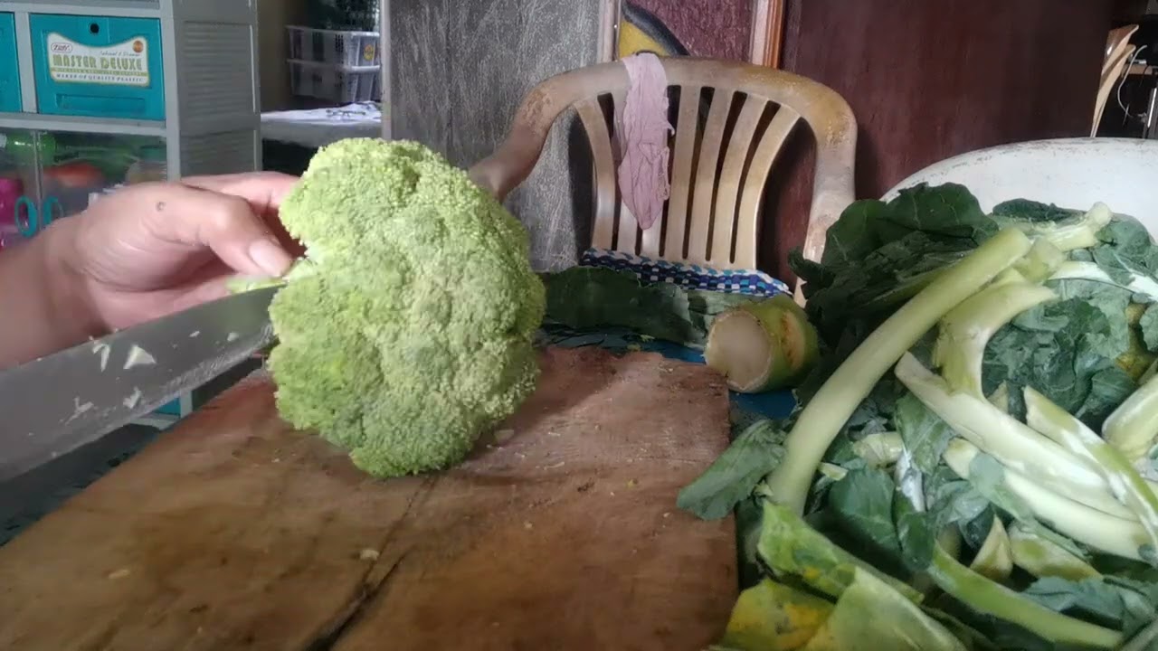 broccoli is the best vegetable