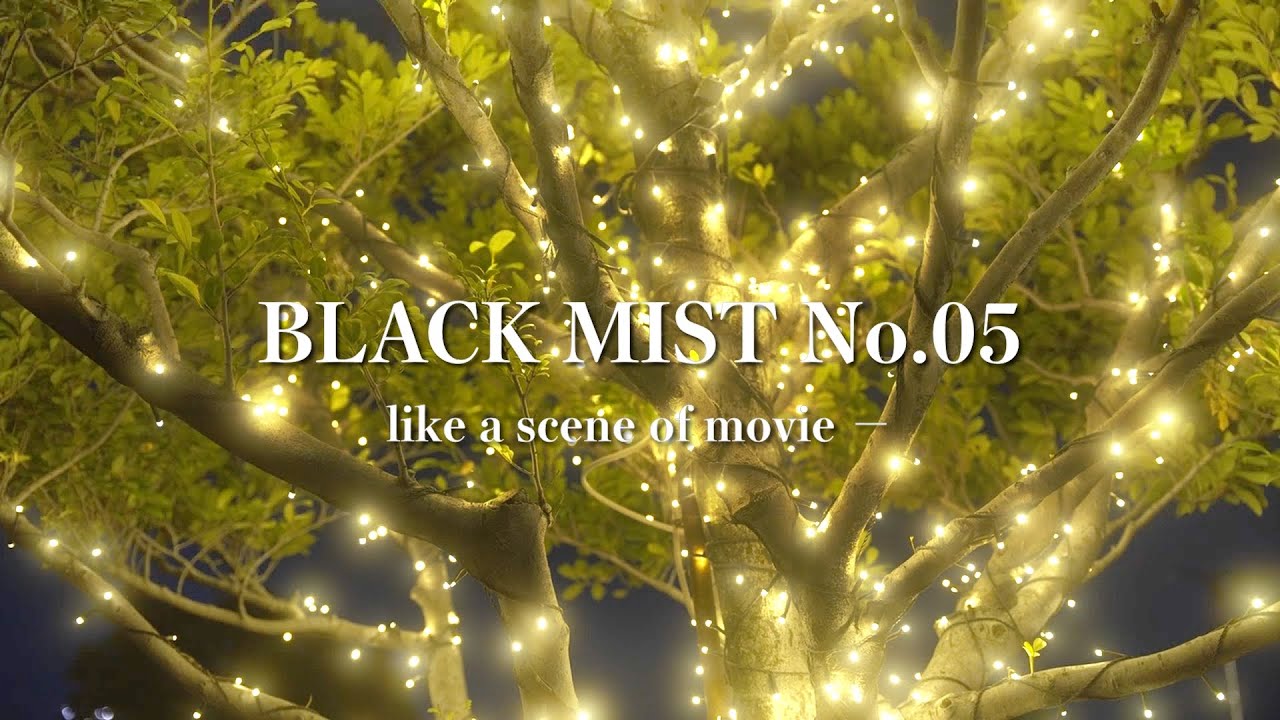 Kenko BLACK MIST No.05 × Night view illumination