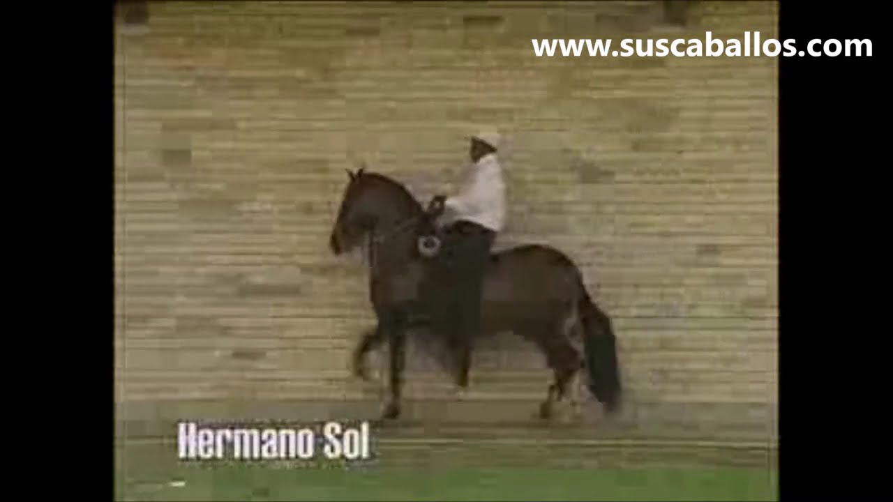 Hermano Sol de Villa Milena
