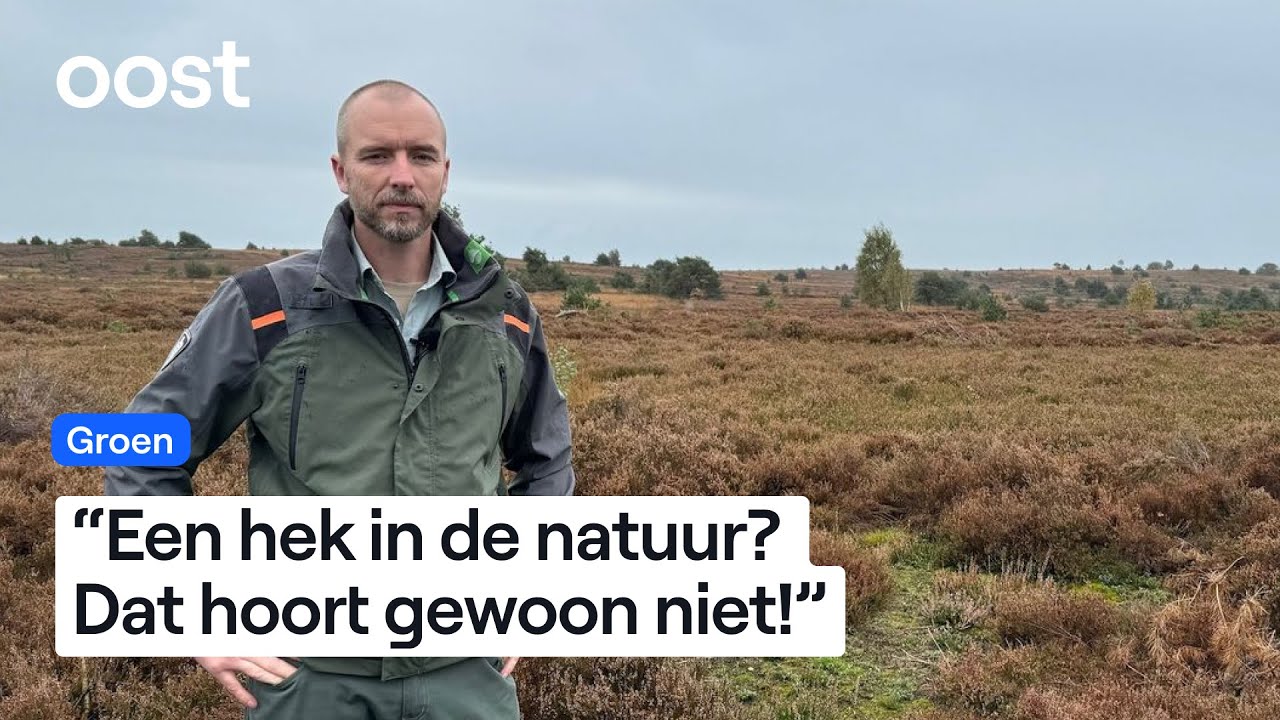 Verandert Sallandse Heuvelrug in knalterrein voor Defensie? | Oost