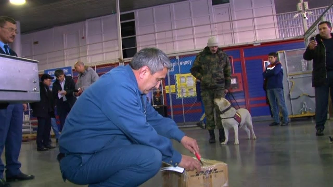 20 кг наркотиков обнаружили в аэропорту Алматы (12.02.16)