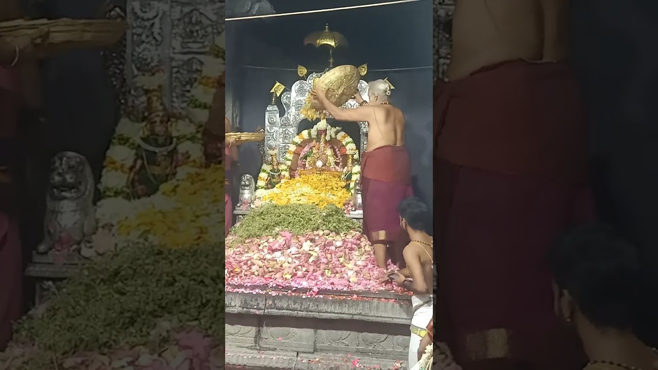 KAMAKSHI AMMAN BIRTHDAY 7-11-23 All Flowers Abisekam part-2