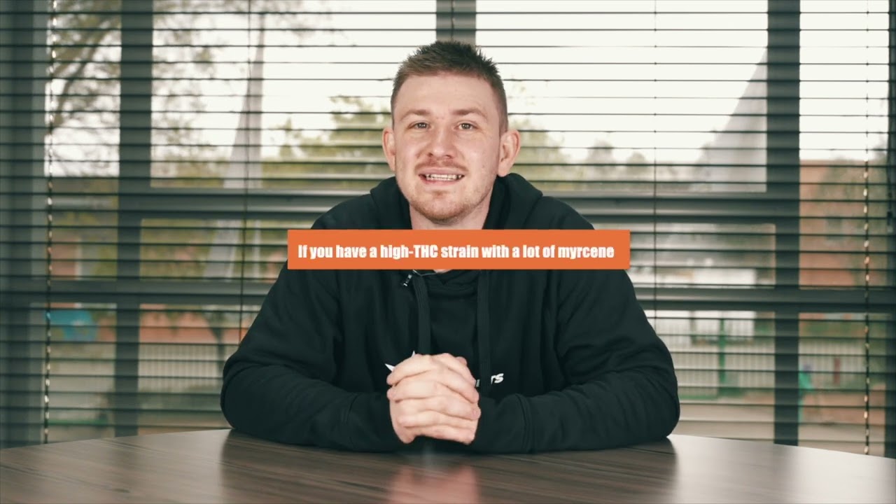 WHAT ARE TERPENES AND THEIR EFFECTS?