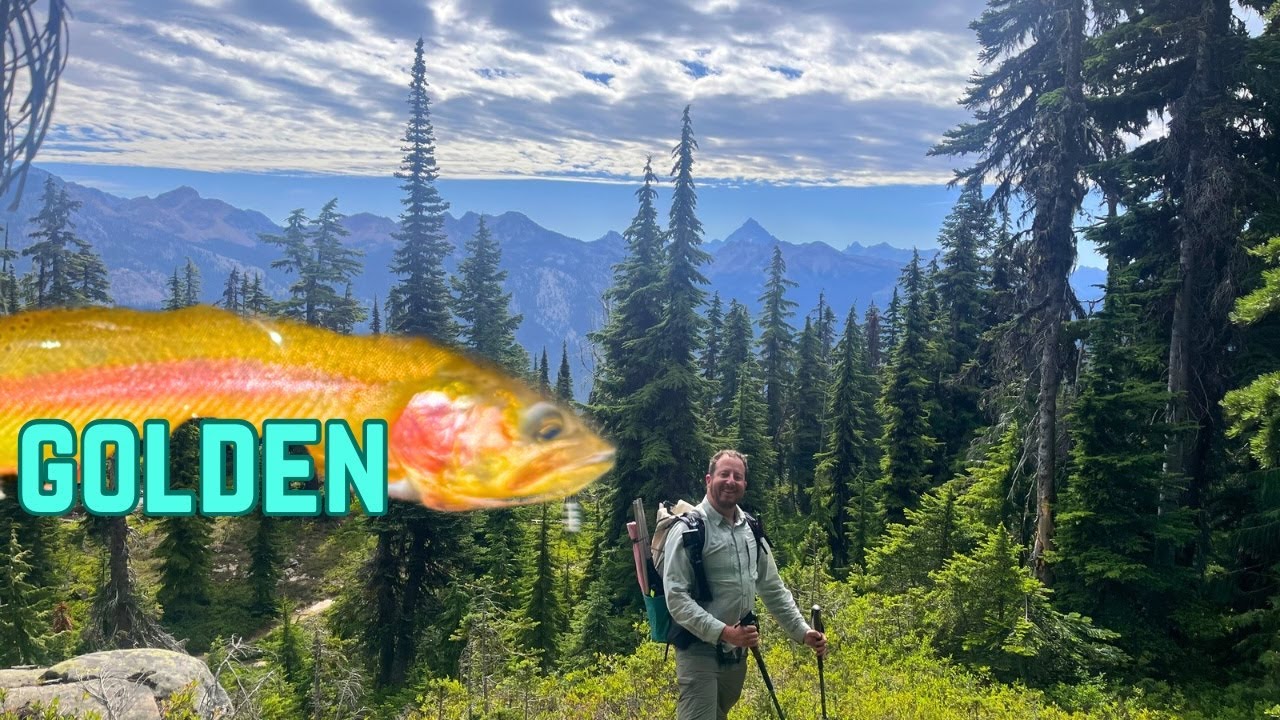 Golden Trout in the Backcountry
