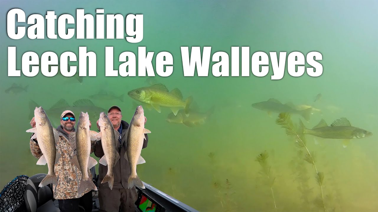 Epic Fall Walleye Fishing at Leech Lake