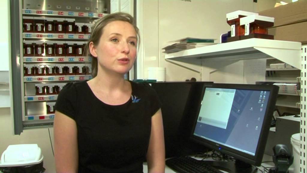 Safer Management of Medication in Prison