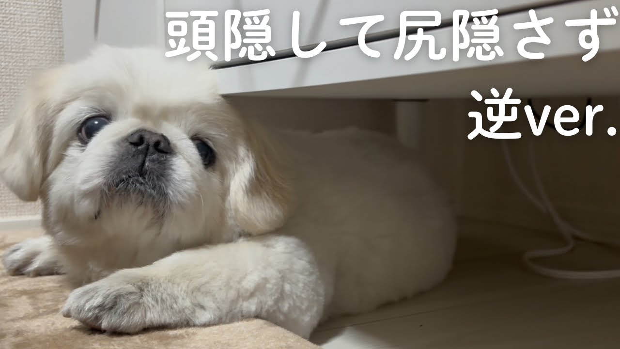【そこで何してるの？】不思議ちゃん