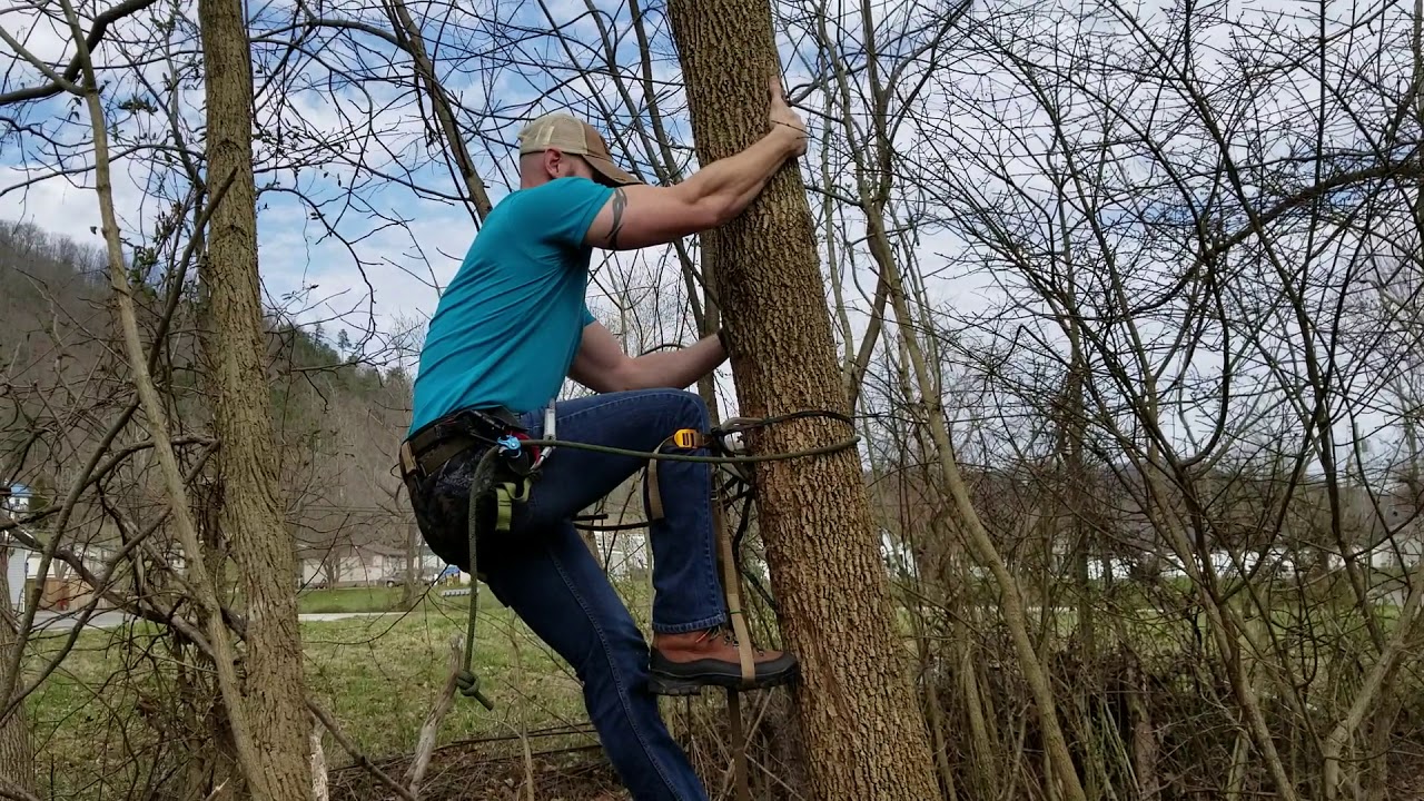 Knaider and Swaider climbing using Wild Edge Steps and Saddle